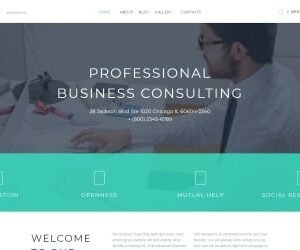 Business & Services Responsive WordPress Theme