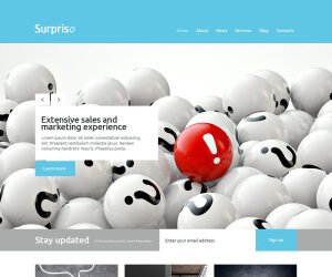 Business WordPress Theme