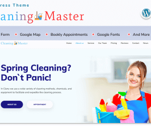 Cleaning Master - Landing page with Blog WordPress Theme