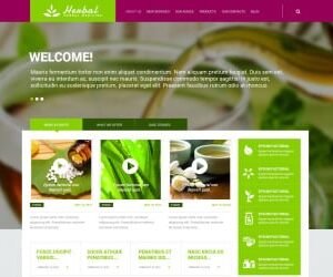 Herbal Responsive WordPress Theme