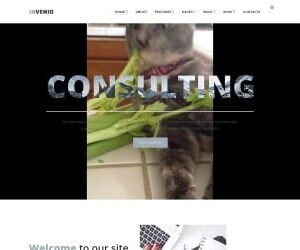 Invenio - Classy Financial Advisor WordPress Theme