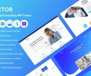 Lector- Business Consulting WordPress Theme.