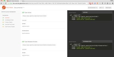 Auto Generate Postman APIs Documentation  - PHP