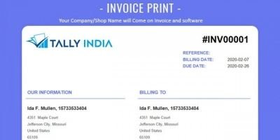 Tally India Saas Accounting And Billing Software