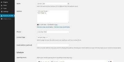 Business Contact Info WordPress Plugin