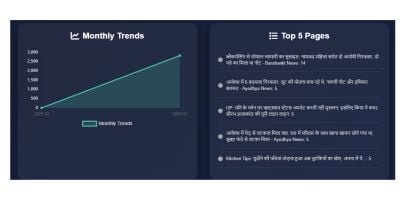 Advanced Page Visit Counter PRO WordPress Plugin