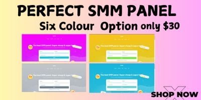 Perfect SMM Panel