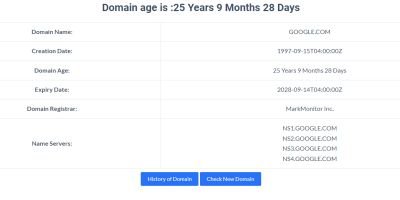 Domain Age Checker Tool